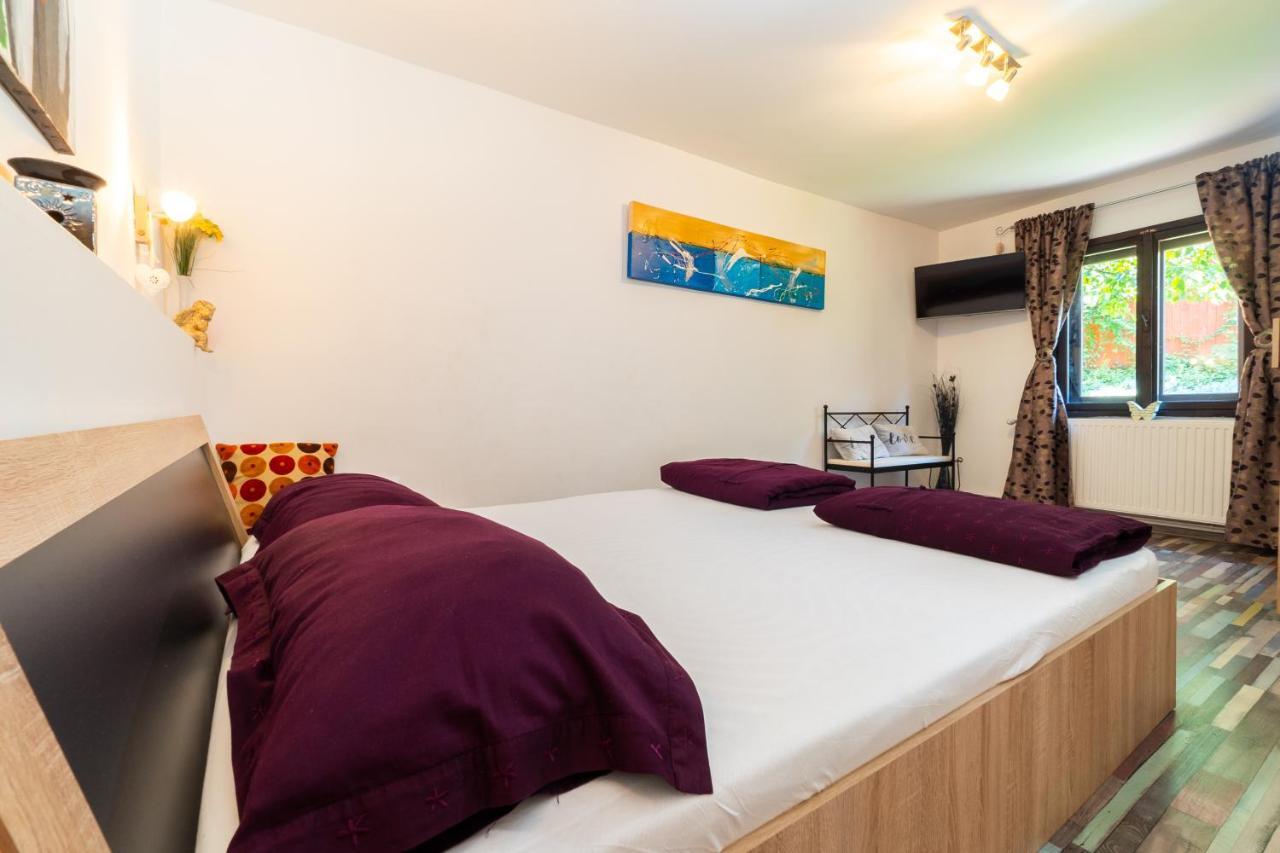 Sunset Cottage Braşov Extérieur photo