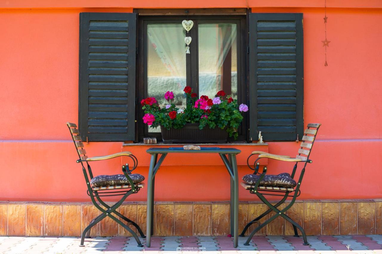 Sunset Cottage Braşov Extérieur photo